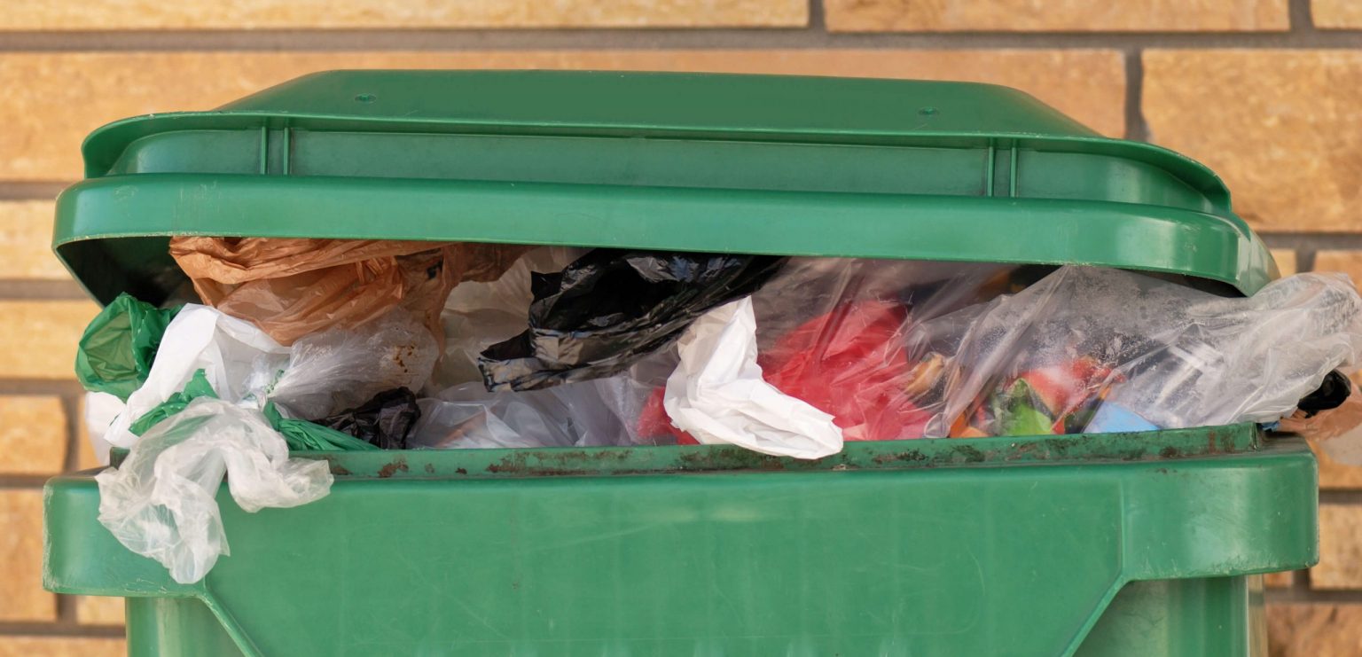 How to get the smell out of your garbage can