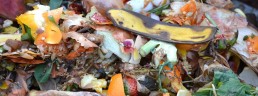 What is compost?
