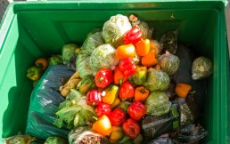 Just How Much Food Waste is There?